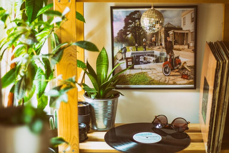 How to Refresh Your Home with Plants: Easy Tips for a Lively Space
